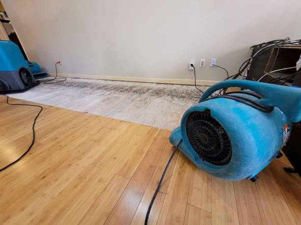Professional Sewage Cleanup technician working in Madison Heights, MI